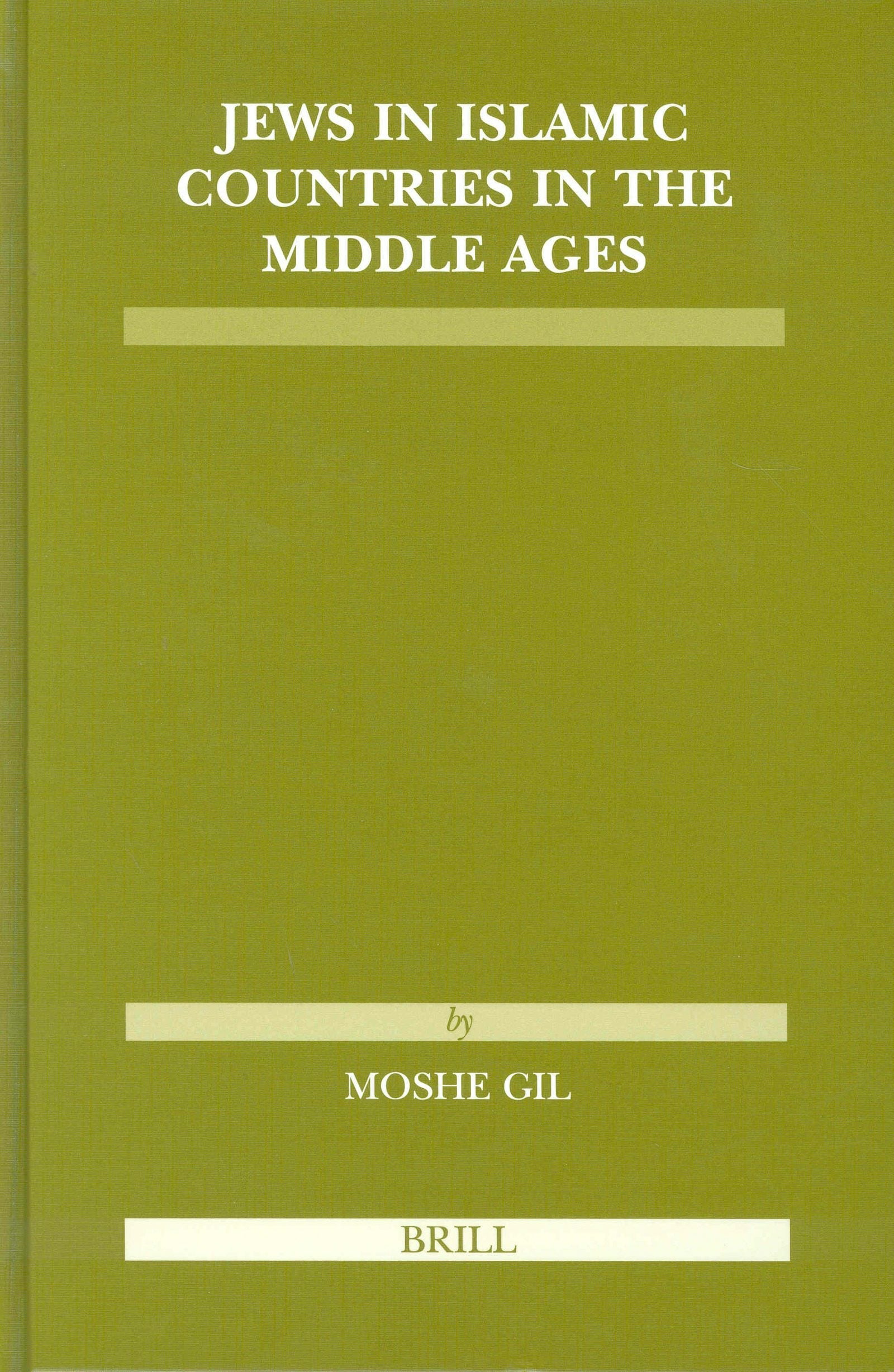 Book cover image for Jews in Islamic Countries in the Middle Ages ISBN: 9789004138827